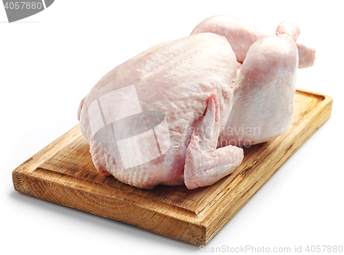 Image of whole raw chicken 