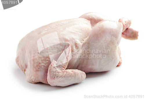 Image of whole raw chicken
