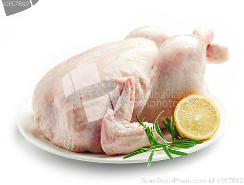 Image of whole raw chicken