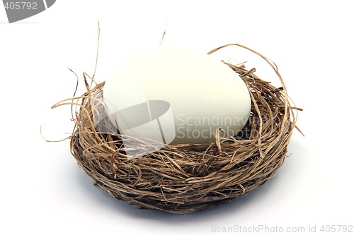 Image of white egg on nest