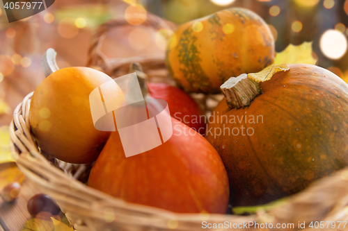 Image of close up of pumpkins in basket on wooden table