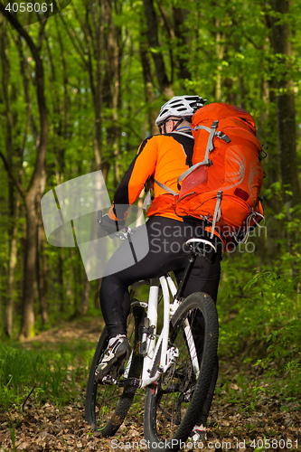 Image of Man bikes in the green forest