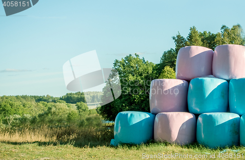 Image of Large Round Bale Silage 