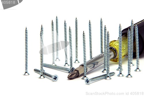 Image of screwdriver ad screws