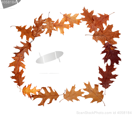 Image of Frame of autumn dried oak leaves with copy space