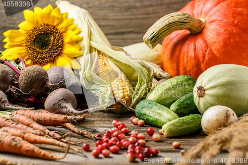 Image of Harvest or Thanksgiving background