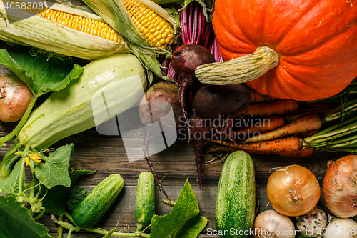 Image of Closeup of freshly harvested vegetables