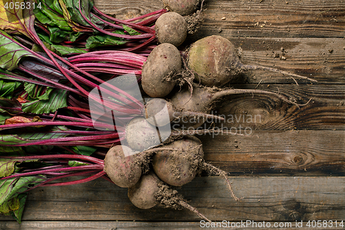 Image of Beetroots with green leaves