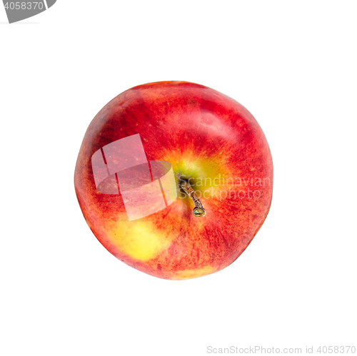 Image of Fresh red apple