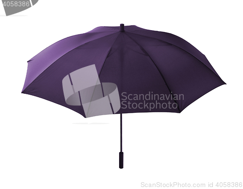 Image of violet umbrella