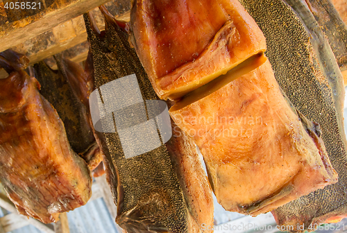 Image of Iceland\'s fermented shark