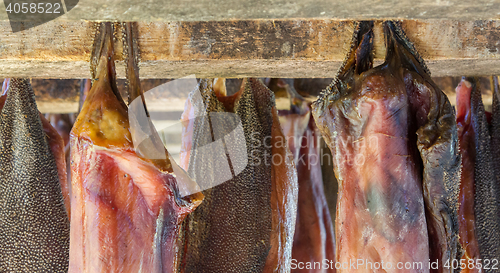 Image of Iceland\'s fermented shark