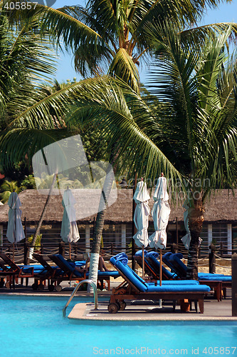 Image of Water pool, deckchair, palms,resort