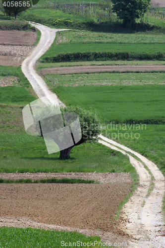 Image of Winding road