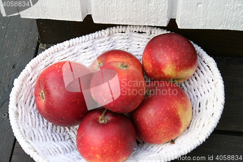 Image of Swedish apples - Ingrid Marie