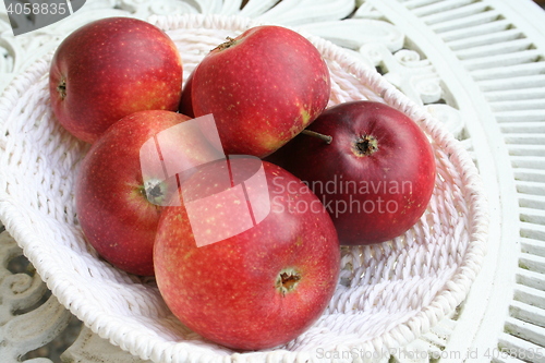 Image of Swedish apples - Ingrid Marie