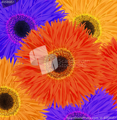 Image of collage with colorful flowers