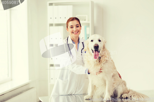 Image of happy doctor with retriever dog at vet clinic