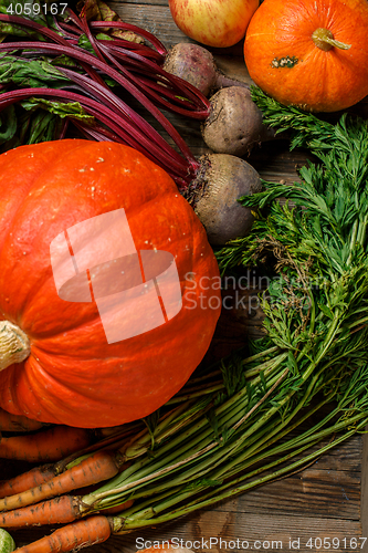 Image of Orange pumpkin and harvest vegetables