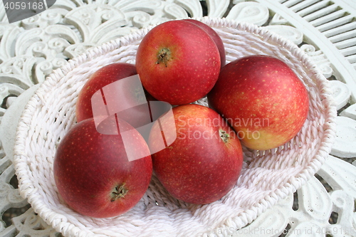 Image of Swedish apples - Ingrid Marie