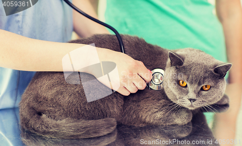 Image of close up of vet with stethoscope and cat at clinic