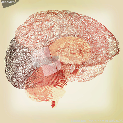 Image of Creative concept of the human brain. 3D illustration. Vintage st