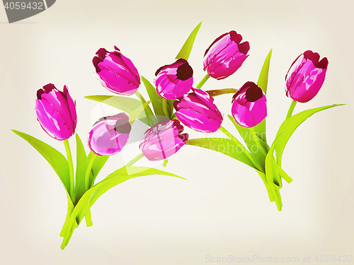 Image of Tulip flower. 3D illustration. Vintage style.