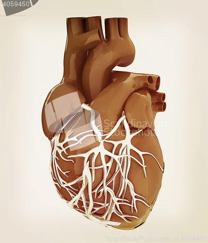 Image of Human heart. 3D illustration. Vintage style.