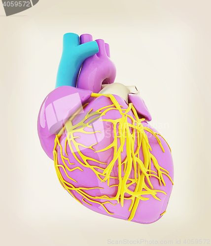 Image of Human heart. 3D illustration. Vintage style.