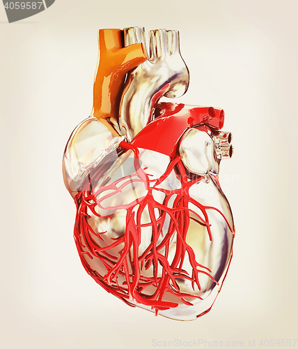 Image of Human heart. 3D illustration. Vintage style.