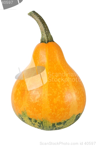 Image of Pumpkin