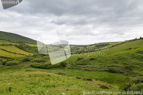 Image of farmland fields at wild atlantic way in ireland