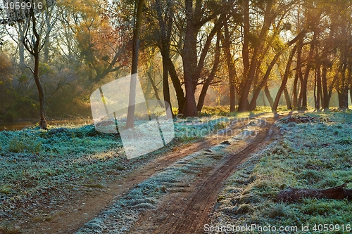 Image of Autumn morning landscape