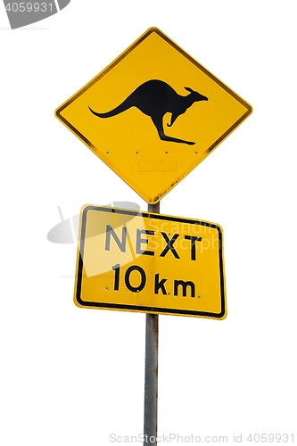 Image of Kangaroo warning sign