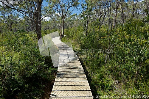 Image of Walking track with wooden board