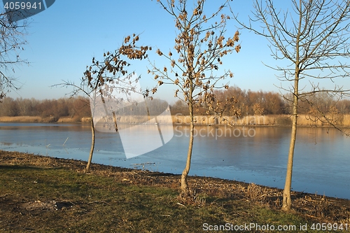 Image of Lakeside autumn landscape