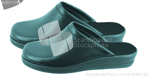 Image of Leather slippers isolated 