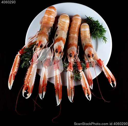 Image of Delicious Raw Langoustines