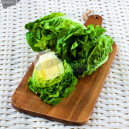 Image of Fresh Romaine Lettuce