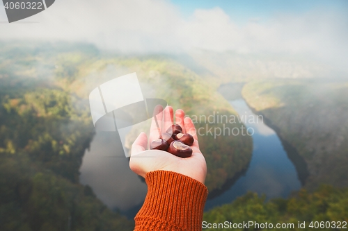 Image of Foggy morning in amazing nature