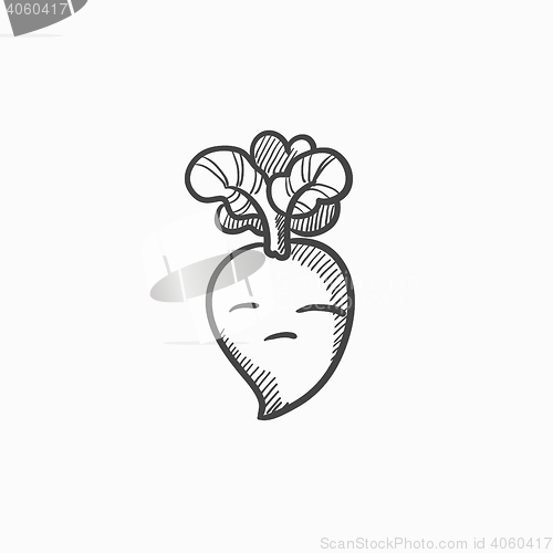 Image of Beet sketch icon.