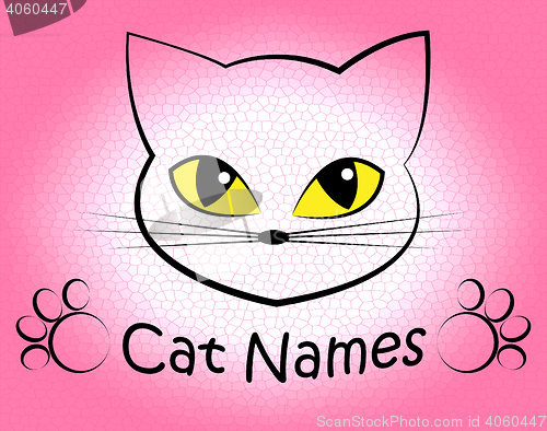 Image of Cat Names Represents Kitty Pets And Feline