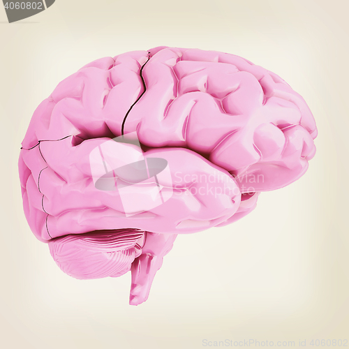 Image of human brain. 3D illustration. Vintage style.