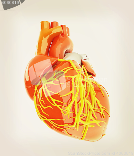 Image of Human heart. 3D illustration. Vintage style.