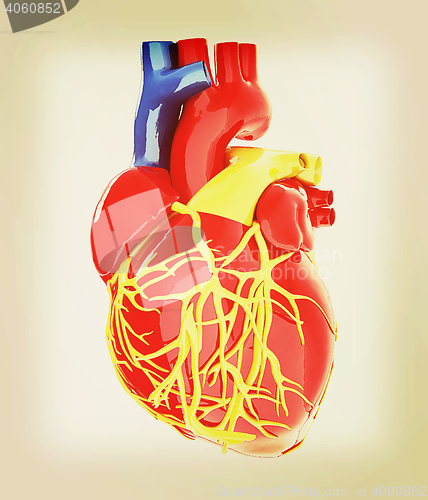 Image of Human heart. 3D illustration. Vintage style.