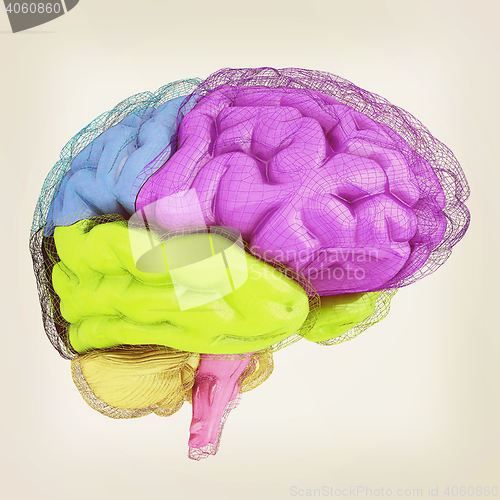 Image of Creative concept of the human brain. 3D illustration. Vintage st