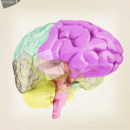 Image of Creative concept of the human brain. 3D illustration. Vintage st