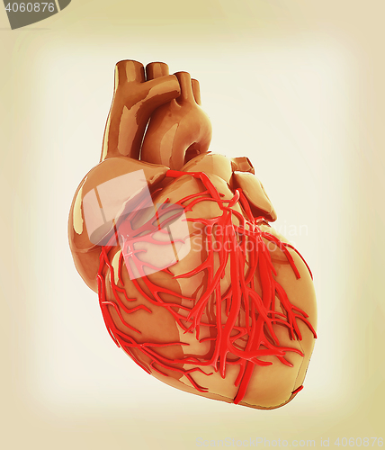 Image of Human heart. 3D illustration. Vintage style.