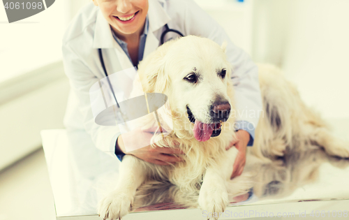 Image of close up of vet with retriever dog at clinic