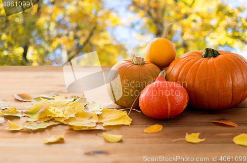 Image of close up of pumpkins on wooden table outdoors